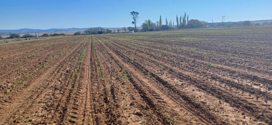 3 Bedroom Property for Sale in Klerksdorp Rural North West